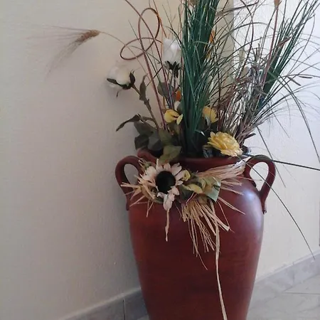 Ammiraglio Caracciolo Bed & Breakfast Catania